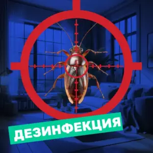 дезинфекция и дезинсекция от клопов, тараканов в квартире недорого - Rembvka