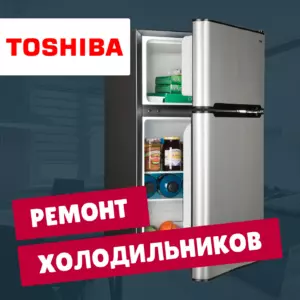 ремонт холодильников Toshiba на дому недорого - Rembvka