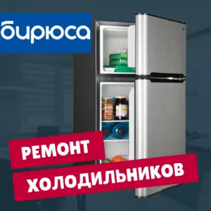 ремонт холодильников бирюса на дому недорого - Rembvka